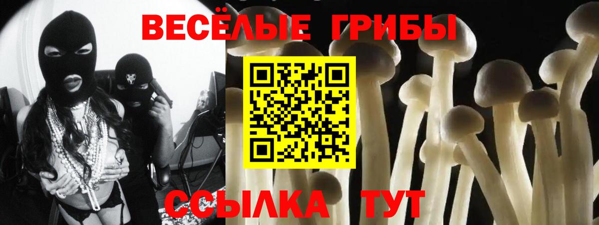 Галлюциногенные грибы Psilocybe Москва